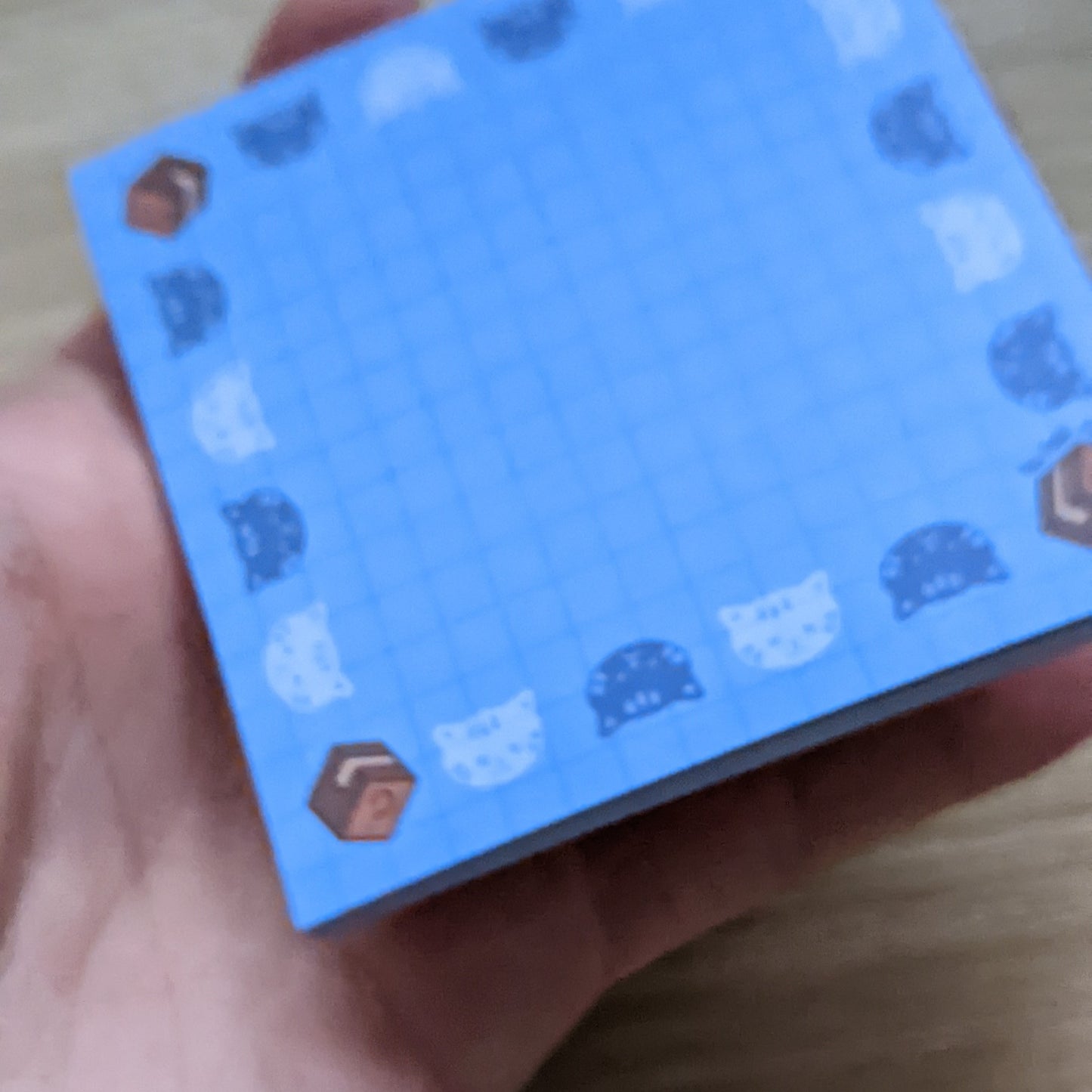 Schrodinger's Cat | Memo Pad